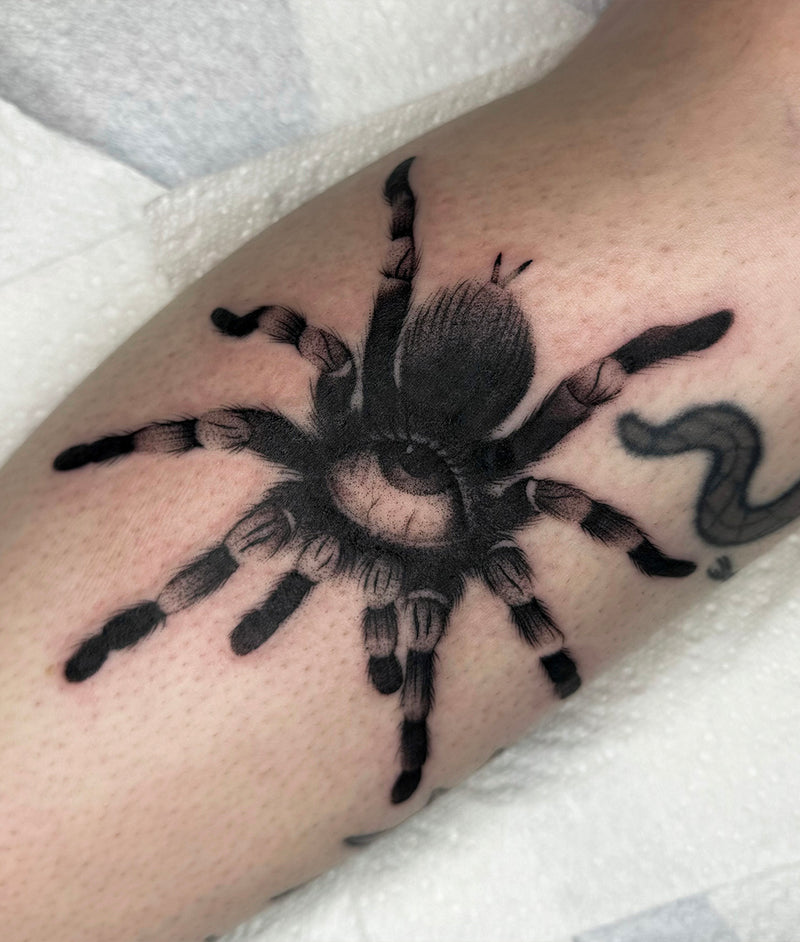 Black and grey spider tattoo by Elise Likidis
